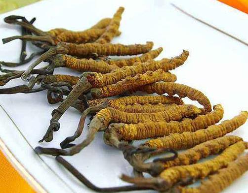 十大名貴草藥排名,藏紅花、人參都很名貴