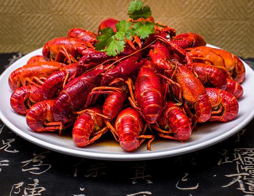 十大高蛋白食品排名,海參藥食同源營(yíng)養(yǎng)價(jià)值高,補(bǔ)充蛋白質(zhì)極佳