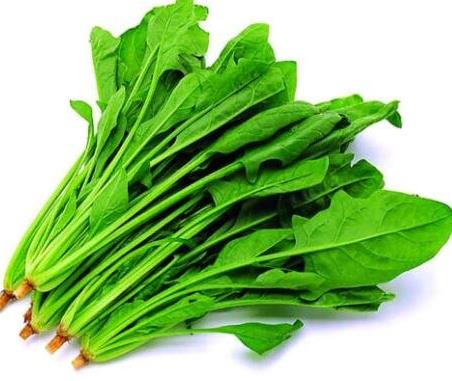 十大生發食物排名,菠菜富含維生素A,牡蠣針對脫發生發
