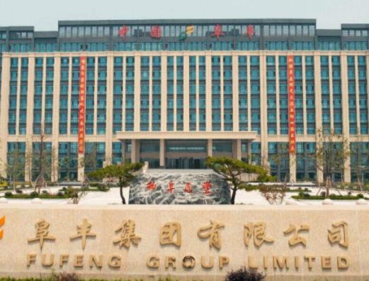 2019中國輕工業科技公司排名,海信家電、阜豐集團的產品很暢銷