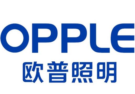 2019中國輕工業科技公司排名,海信家電、阜豐集團的產品很暢銷