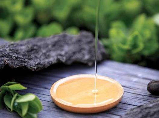 九大山茶油品牌排名，金浩茶油售后服務好，綠海茶油值得購買