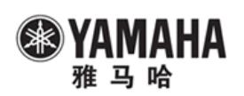 2020年家用點唱機品牌,麥哈頓性價比高,雅馬哈品質好