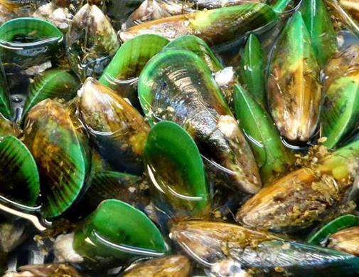 2020年新西蘭國民級美食排名,黑邊鮑魚營養豐富、新西蘭大龍蝦口感好
