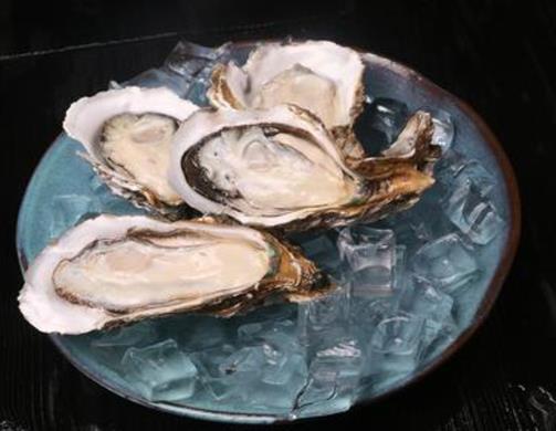 2020年新西蘭國民級美食排名,黑邊鮑魚營養豐富、新西蘭大龍蝦口感好