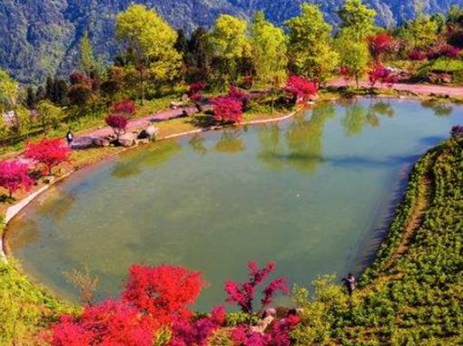 德陽十大風景名勝排行榜,中國和海熱度最高,倉山古鎮(zhèn)歷史悠久
