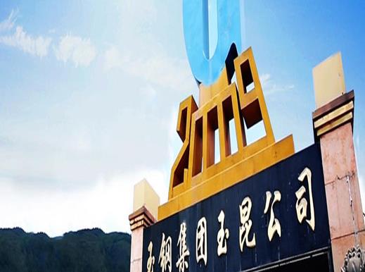 2020年云南省制造業民營企業排名,華澤集團有限公司營業收入很可觀