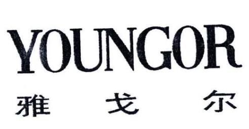 2020年浙江省制造業(yè)民營企業(yè)排名,浙江吉利控股集團有限公司有名氣