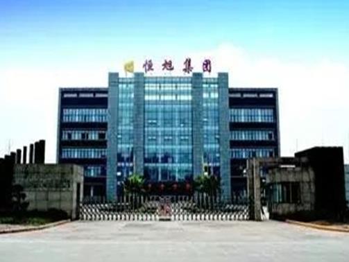 2020年四川省制造業民營企業,通威集團有限公司專注農副食品加工業