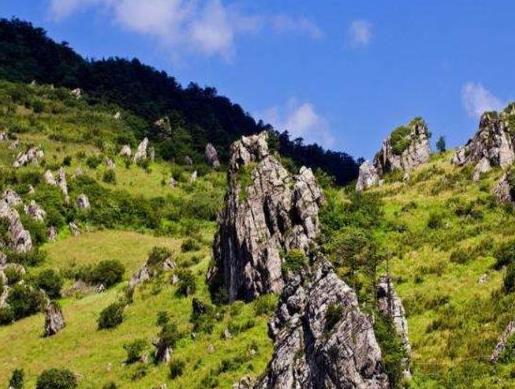 湖北十大好玩的景點排名,武漢大學、黃鶴樓好看有特色