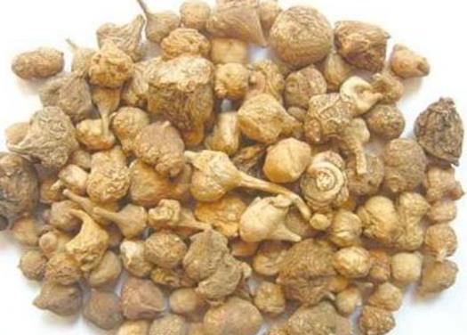 貴州十大名藥排行榜,天麻非常名貴、杜仲預防骨質疏松