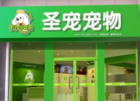 2021年十大寵物品牌連鎖店,大嘴狗很專業、愛肯拿深受歡迎