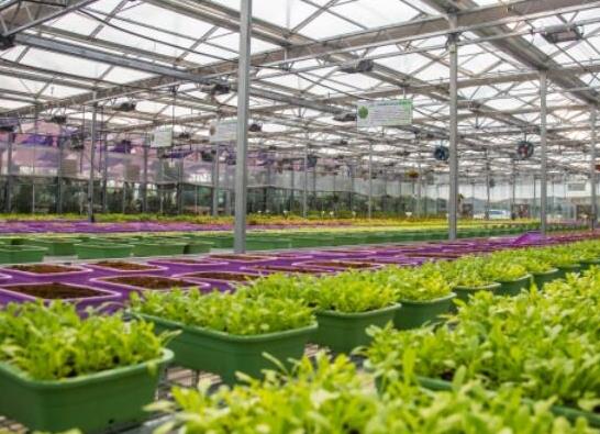 中國十大蔬菜種植基地,壽光是中國蔬菜之鄉(xiāng)、張北縣年產(chǎn)量高
