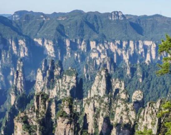中國(guó)十大世界自然遺產(chǎn),九寨溝景區(qū)、神農(nóng)架旅游區(qū)都是原生態(tài)旅游區(qū)