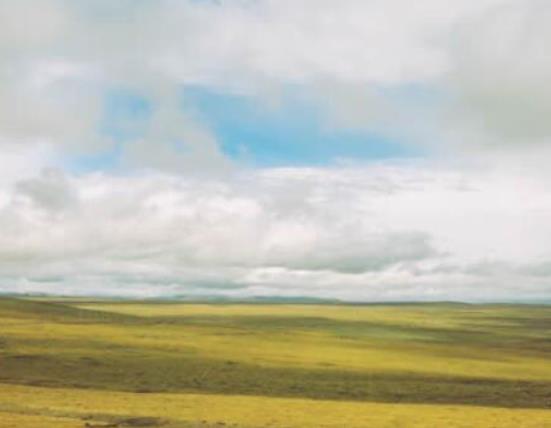 中國(guó)十大世界自然遺產(chǎn),九寨溝景區(qū)、神農(nóng)架旅游區(qū)都是原生態(tài)旅游區(qū)