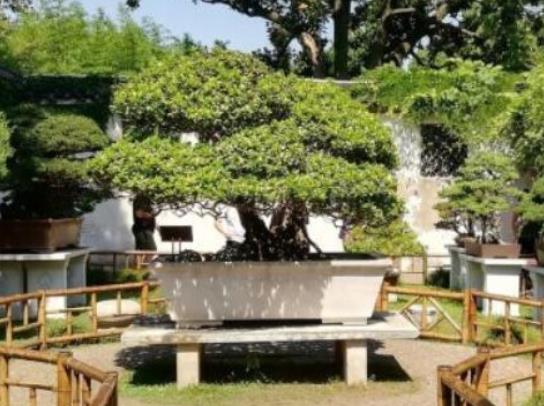 中國(guó)十大著名世界文化遺產(chǎn),萬里長(zhǎng)城、明清故宮都是世界文化遺產(chǎn)