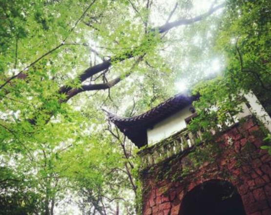 《盜墓筆記》相關(guān)的十大旅游景點,西泠印社、曉風書屋都很受歡迎