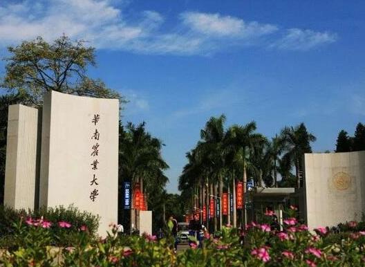 十大廣東名牌大學(xué)排名,中山大學(xué)是985、華南理工大學(xué)科研實(shí)力強(qiáng)大