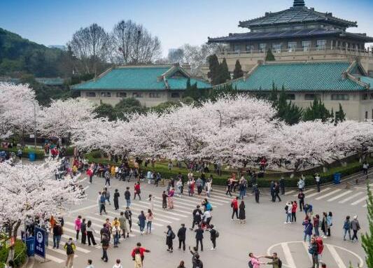 武漢十大最美大學排行榜,武漢大學校園享譽、華中農業大學環境幽雅