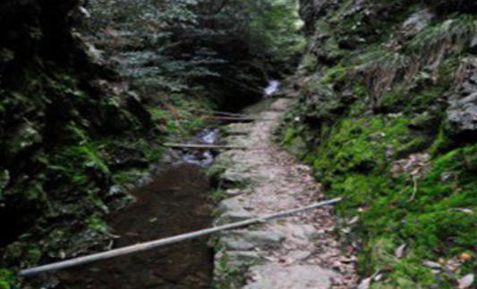 安徽旅游景點排行 安徽旅游景點在哪里