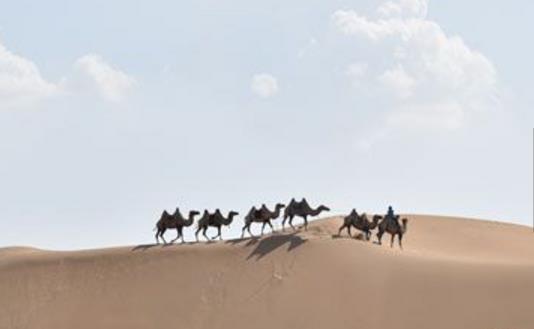 內蒙古鄂爾多斯十大旅游景點排行榜 鄂爾多斯有什么好玩的地方