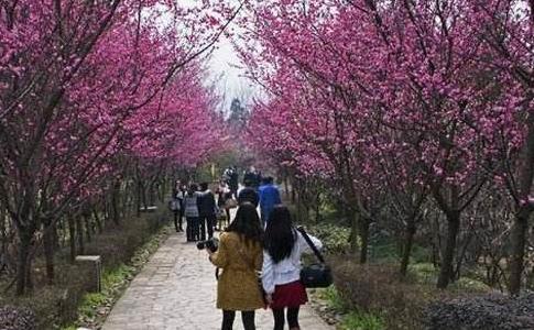 四川省成都市十大旅游景點(diǎn)排行榜 成都有什么好玩的地方