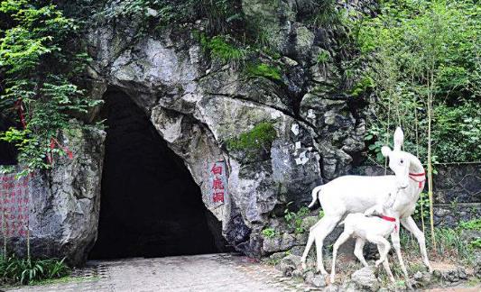 湖南省郴州市十大旅游景點排行榜 郴州有什么好玩的地方
