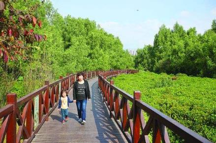 廣東省惠州市十大旅游景點排行榜 惠州有什么好玩的地方