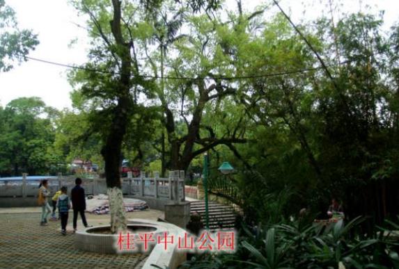 廣西省貴港市十大旅游景點排行榜 貴港有什么好玩的地方