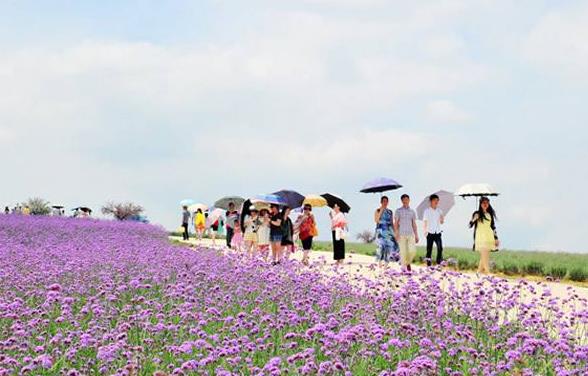 廣西省來賓市十大旅游景點排行榜 來賓有什么好玩的地方
