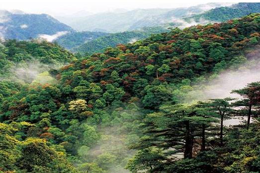 海南省五指山十大旅游景點排行榜 五指山有什么好玩的地方