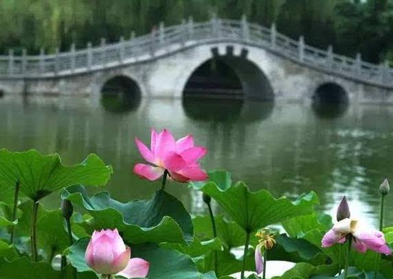 甘肅省慶陽市十大旅游景點排行榜 慶陽有什么好玩的地方