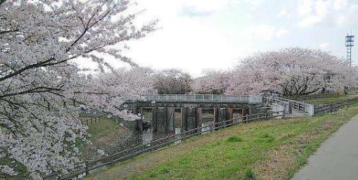 日本新潟縣十大旅游景點(diǎn)排行榜 新潟縣有什么好玩的地方