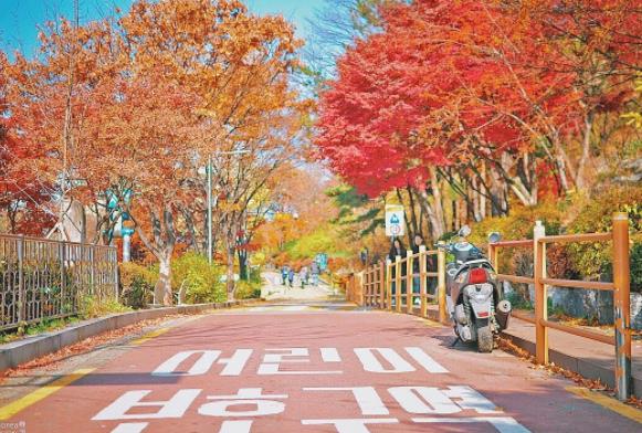 韓國十大旅游景點(diǎn)排行榜 韓國有什么好玩的地方