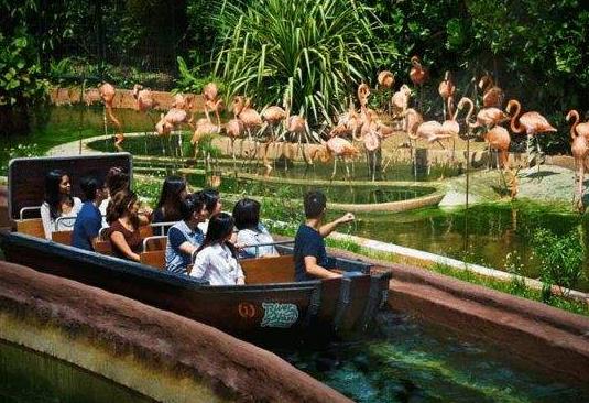 亞洲新加坡十大旅游景點(diǎn)排行榜 新加坡旅游有什么好玩的地方