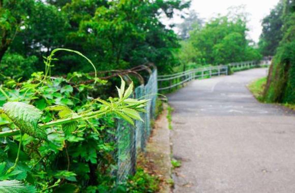 巴登-符騰堡州海德堡七大旅游景點(diǎn)排行榜 好玩的地方推薦