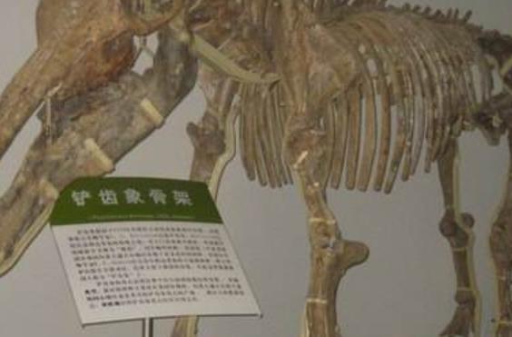 萊茵蘭-普法爾茨州美因茨四大旅游景點排行榜 好玩的地方推薦