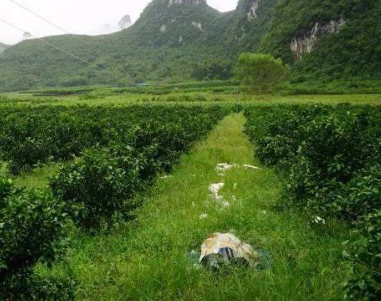 法國(guó)阿爾薩斯大區(qū)十大旅游景點(diǎn)排行榜 好玩的地方推薦