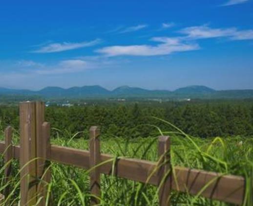 韓國濟(jì)州島十大旅游景點(diǎn)排行 牛島是可以選擇全天游覽