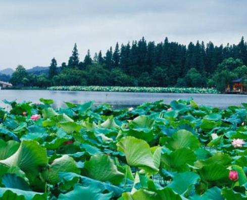 中國(guó)最美景點(diǎn)九大排行榜 麗江自古就是一個(gè)多民族聚居的地方