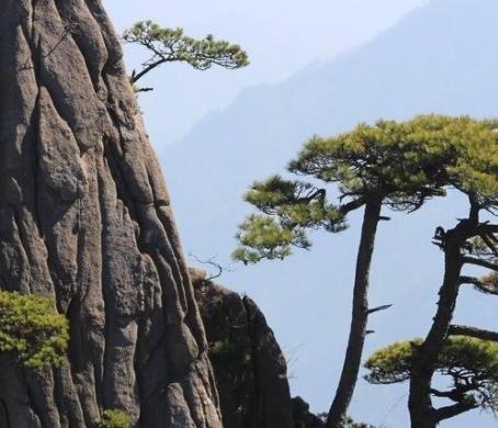 老外眼中最美9個(gè)中國旅游景點(diǎn)排行 寧夏沙湖是中國觀鳥的首選之地