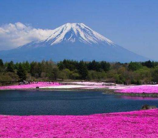 不可錯(cuò)過(guò)的10大旅游勝地旅游景點(diǎn)排行 巴西還擁有許多的旅游資源