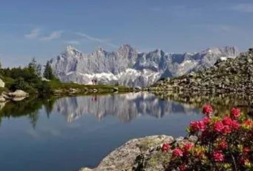 全球十大最驚險觀景平臺旅游景點排行 該天行橋有阿爾卑斯山的陽臺