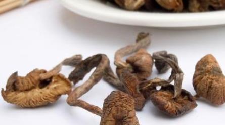 黑龍江牡丹江土特產(chǎn)品排行 榛蘑是黑龍江長白山特有的山珍之一
