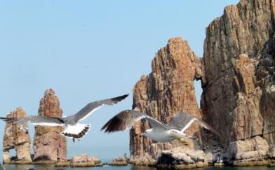 中國寶島排名 海陵島是廣東第四大海島