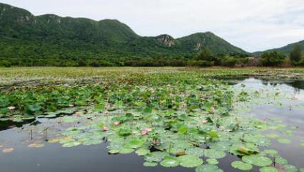 亞洲旅行勝地發(fā)榜 日本北海道排名第一