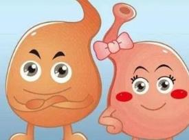 貓咪的致命疾病排行榜 下泌尿道是可以發展為威脅貓咪生命的疾病