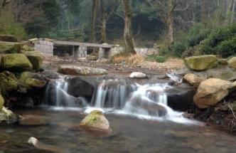 杭州旅游景點排名 西湖可以說是杭州最具特色的旅游經(jīng)典