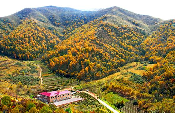 國內適合4月份出游的十大景點排行 黑龍江五大連池是國家AAAAA級旅游景區(qū)