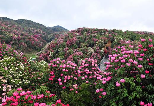 國內適合4月份出游的十大景點排行 黑龍江五大連池是國家AAAAA級旅游景區(qū)